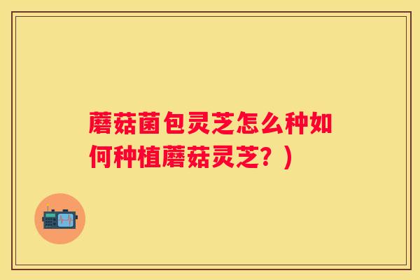 蘑菇菌包灵芝怎么种如何种植蘑菇灵芝?) 蘑菇菌包灵芝怎么种如何种植蘑菇灵芝?)