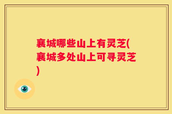襄城哪些山上有灵芝(襄城多处山上可寻灵芝)