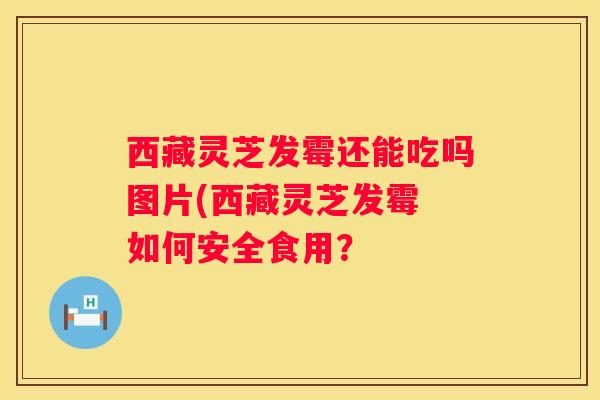 西藏灵芝发霉还能吃吗图片(西藏灵芝发霉 如何安全食用？
