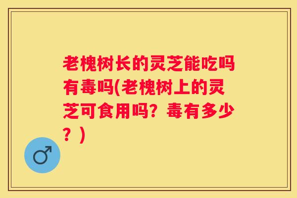 老槐树长的灵芝能吃吗有毒吗(老槐树上的灵芝可食用吗？毒有多少？)