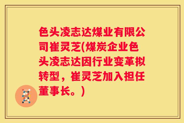 色头凌志达煤业有限公司崔灵芝(煤炭企业色头凌志达因行业变革拟转型，崔灵芝加入担任董事长。)