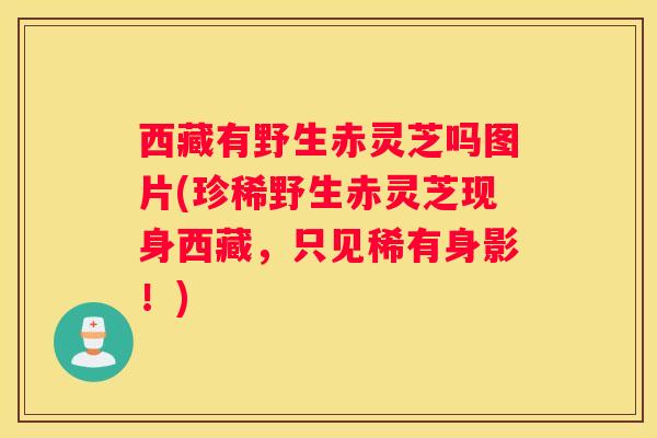 西藏有野生赤灵芝吗图片(珍稀野生赤灵芝现身西藏，只见稀有身影！)