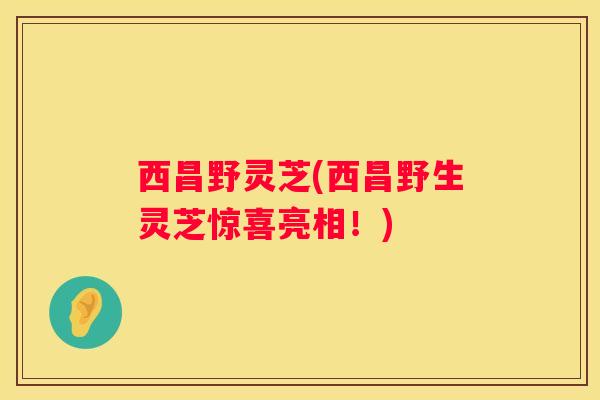 西昌野灵芝(西昌野生灵芝惊喜亮相！)