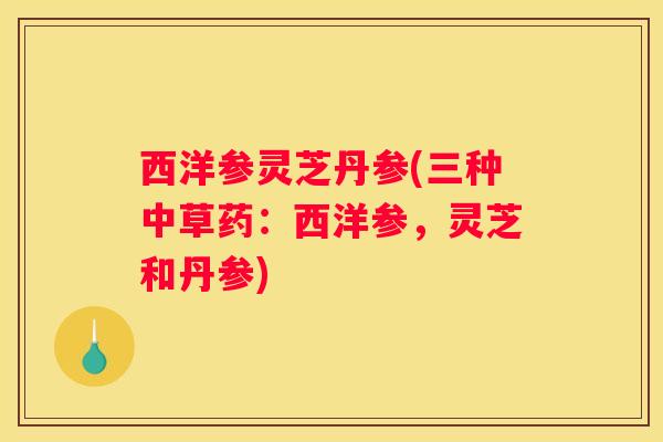西洋参灵芝丹参(三种中草药:西洋参,灵芝和丹参) 西洋参灵芝丹参(三种中草药:西洋参,灵芝和丹参)