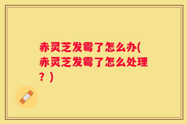 赤灵芝发霉了怎么办(赤灵芝发霉了怎么处理？)