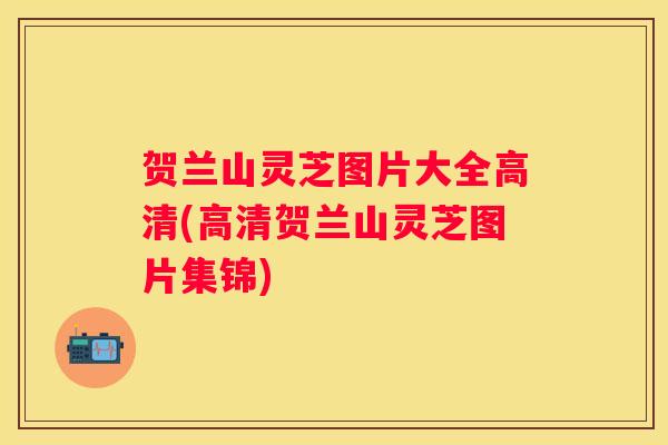 贺兰山灵芝图片大全高清(高清贺兰山灵芝图片集锦) 贺兰山灵芝图片大全高清(高清贺兰山灵芝图片集锦)