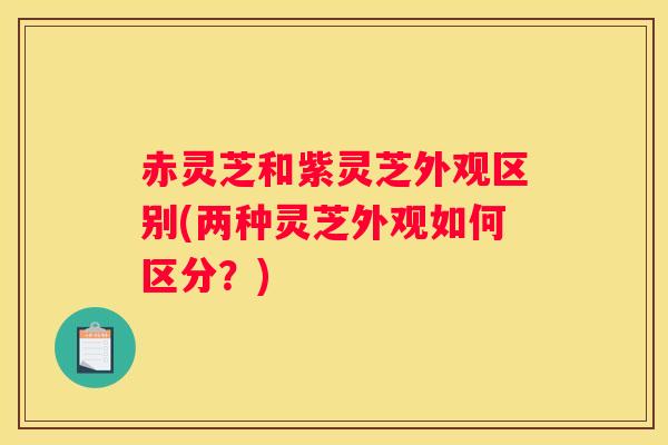 赤灵芝和紫灵芝外观区别(两种灵芝外观如何区分?) 赤灵芝和紫灵芝外观区别(两种灵芝外观如何区分?)