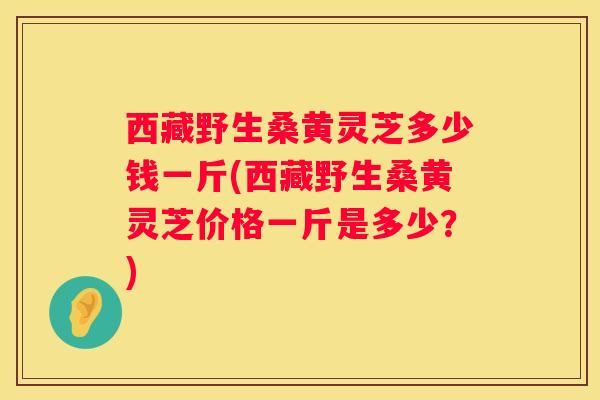 西藏野生桑黄灵芝多少钱一斤(西藏野生桑黄灵芝价格一斤是多少？)