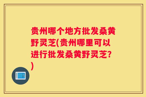 贵州哪个地方批发桑黄野灵芝(贵州哪里可以进行批发桑黄野灵芝?) 贵州哪个地方批发桑黄野灵芝(贵州哪里可以进行批发桑黄野灵芝?)