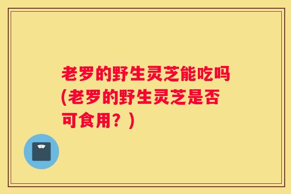 老罗的野生灵芝能吃吗(老罗的野生灵芝是否可食用？)