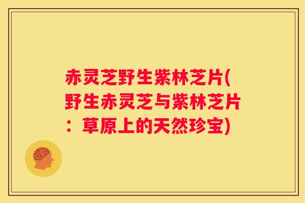 赤灵芝野生紫林芝片(野生赤灵芝与紫林芝片：草原上的天然珍宝)
