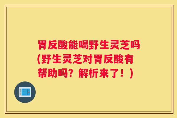 胃反酸能喝野生灵芝吗(野生灵芝对胃反酸有帮助吗？解析来了！)