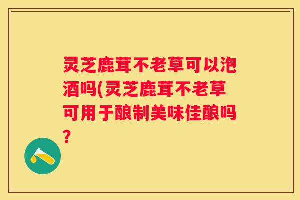 灵芝鹿茸不老草可以泡酒吗(灵芝鹿茸不老草可用于酿制美味佳酿吗？