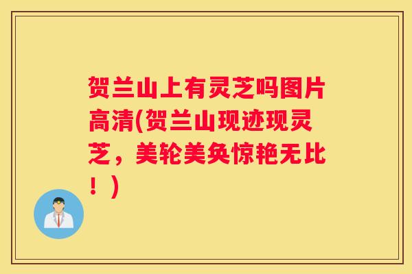 贺兰山上有灵芝吗图片高清(贺兰山现迹现灵芝，美轮美奂惊艳无比！)