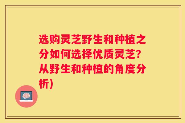 选购灵芝野生和种植之分如何选择优质灵芝?从野生和种植的角度分析) 选购灵芝野生和种植之分如何选择优质灵芝?从野生和种植的角度分析)