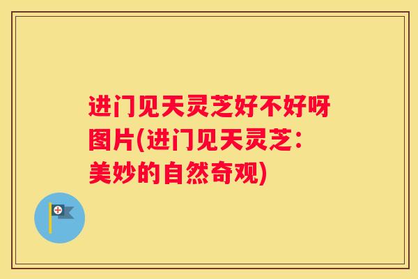 进门见天灵芝好不好呀图片(进门见天灵芝：美妙的自然奇观)