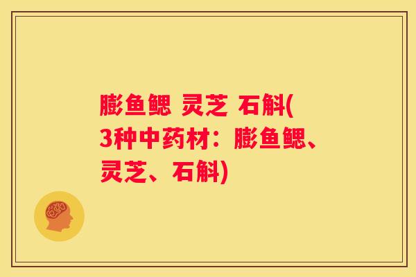 膨鱼鳃 灵芝 石斛(3种材：膨鱼鳃、灵芝、石斛)
