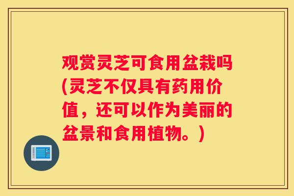 观赏灵芝可食用盆栽吗(灵芝不仅具有药用价值,还可以作为美丽的盆景和食用植物。) 观赏灵芝可食用盆栽吗(灵芝不仅具有药用价值,还可以作为美丽的盆景和食用植物。)