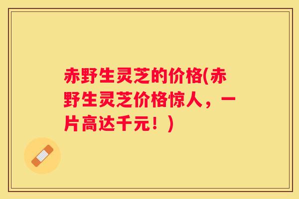 赤野生灵芝的价格(赤野生灵芝价格惊人，一片高达千元！)