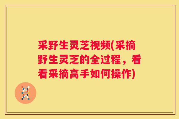采野生灵芝视频(采摘野生灵芝的全过程，看看采摘高手如何操作)