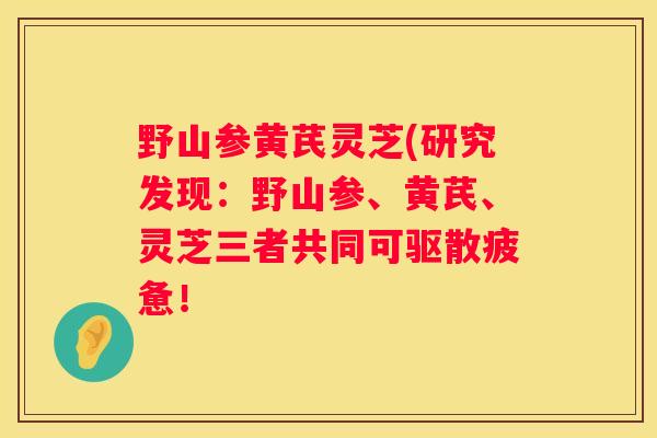 野山参黄芪灵芝(研究发现:野山参、黄芪、灵芝三者共同可驱散疲惫! 野山参黄芪灵芝(研究发现:野山参、黄芪、灵芝三者共同可驱散疲惫!