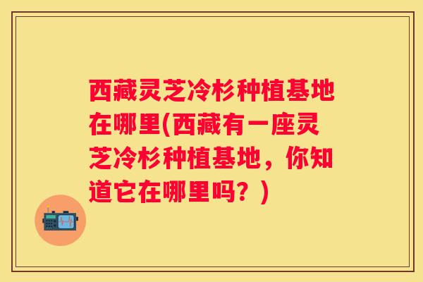 西藏灵芝冷杉种植基地在哪里(西藏有一座灵芝冷杉种植基地,你知道它在哪里吗?) 西藏灵芝冷杉种植基地在哪里(西藏有一座灵芝冷杉种植基地,你知道它在哪里吗?)