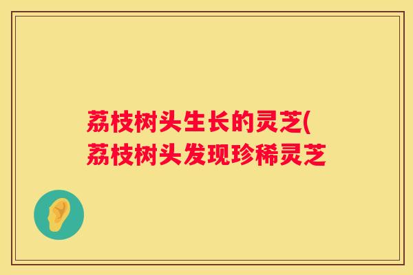 荔枝树头生长的灵芝(荔枝树头发现珍稀灵芝
