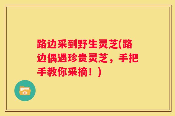 路边采到野生灵芝(路边偶遇珍贵灵芝，手把手教你采摘！)
