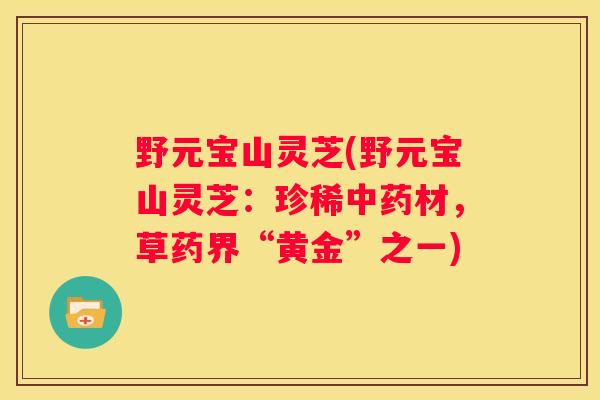 野元宝山灵芝(野元宝山灵芝：珍稀材，草药界“黄金”之一)