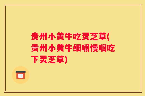 贵州小黄牛吃灵芝草(贵州小黄牛细嚼慢咽吃下灵芝草) 贵州小黄牛吃灵芝草(贵州小黄牛细嚼慢咽吃下灵芝草)