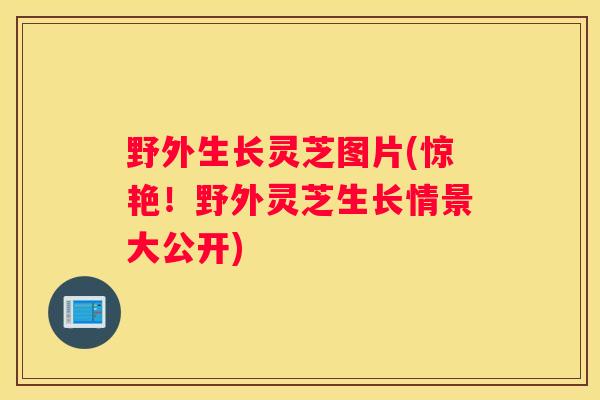 野外生长灵芝图片(惊艳！野外灵芝生长情景大公开)