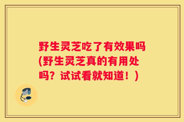 野生灵芝吃了有效果吗(野生灵芝真的有用处吗？试试看就知道！)
