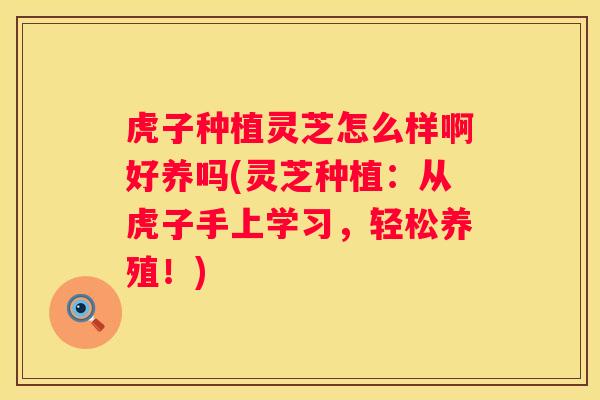 虎子种植灵芝怎么样啊好养吗(灵芝种植:从虎子手上学习,轻松养殖!) 虎子种植灵芝怎么样啊好养吗(灵芝种植:从虎子手上学习,轻松养殖!)