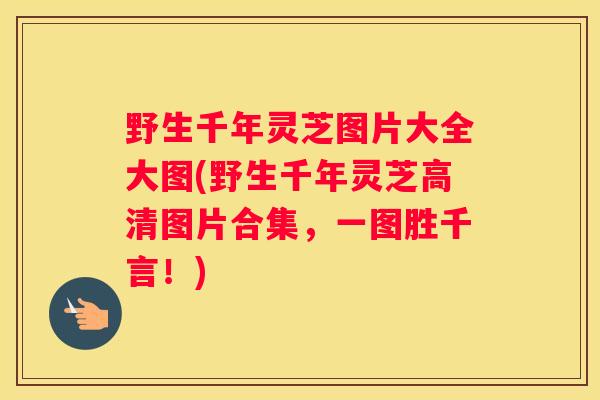 野生千年灵芝图片大全大图(野生千年灵芝高清图片合集，一图胜千言！)