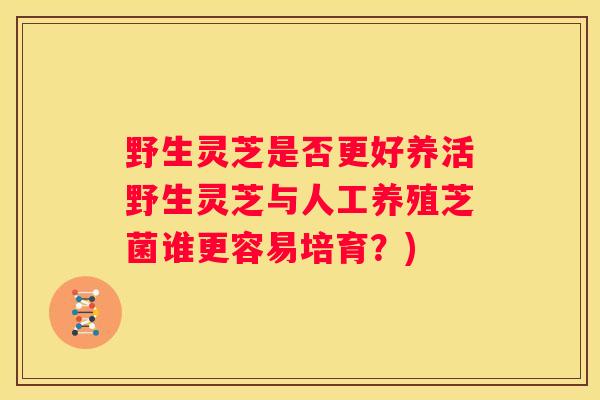 野生灵芝是否更好养活野生灵芝与人工养殖芝菌谁更容易培育？)