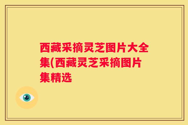 西藏采摘灵芝图片大全集(西藏灵芝采摘图片集精选