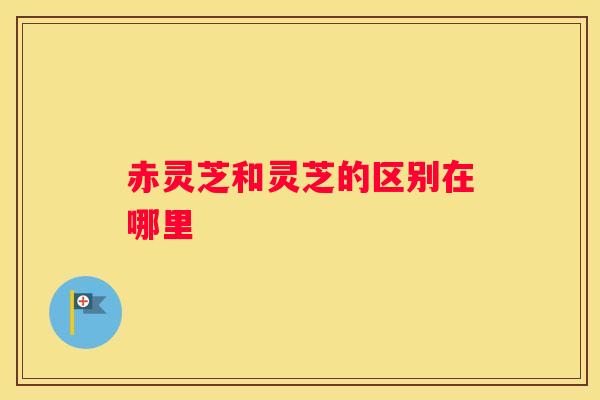 赤灵芝和灵芝的区别在哪里