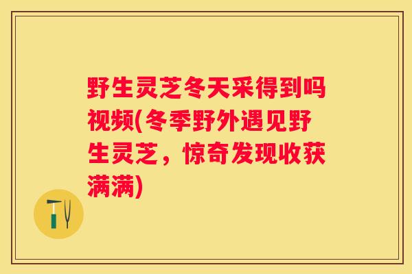 野生灵芝冬天采得到吗视频(冬季野外遇见野生灵芝，惊奇发现收获满满)