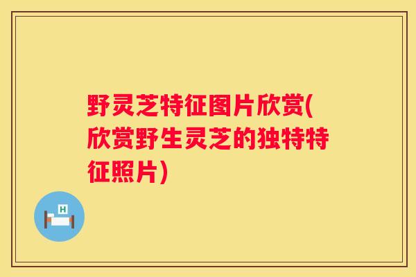 野灵芝特征图片欣赏(欣赏野生灵芝的独特特征照片)