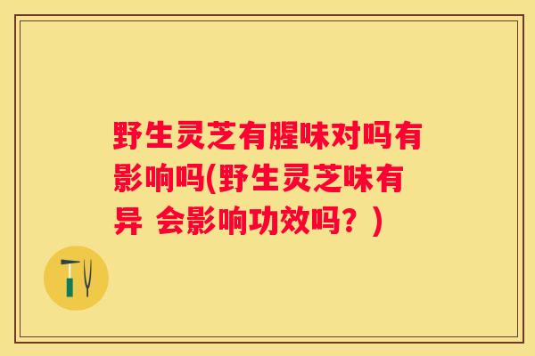 野生灵芝有腥味对吗有影响吗(野生灵芝味有异 会影响功效吗？)