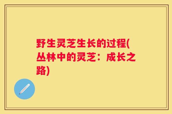 野生灵芝生长的过程(丛林中的灵芝：成长之路)
