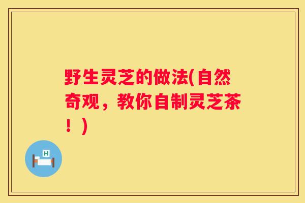 野生灵芝的做法(自然奇观，教你自制灵芝茶！)