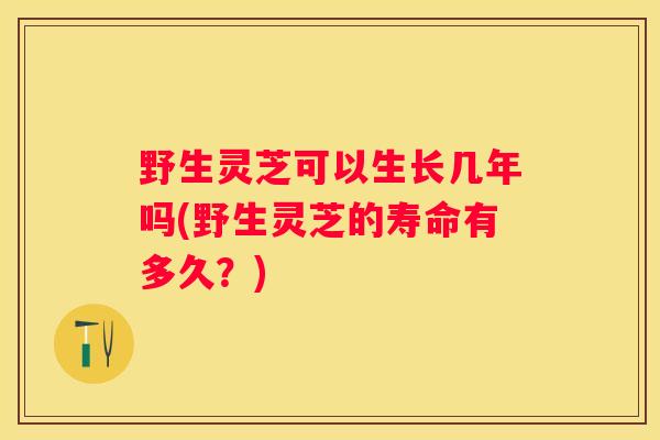 野生灵芝可以生长几年吗(野生灵芝的寿命有多久？)