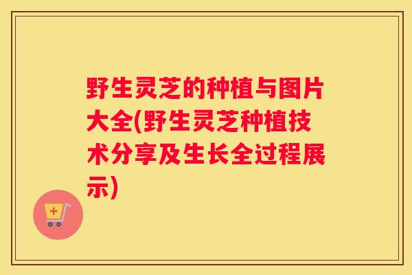 野生灵芝的种植与图片大全(野生灵芝种植技术分享及生长全过程展示)