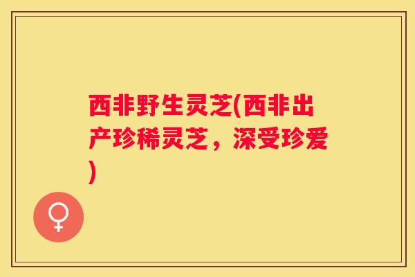 西非野生灵芝(西非出产珍稀灵芝，深受珍爱)
