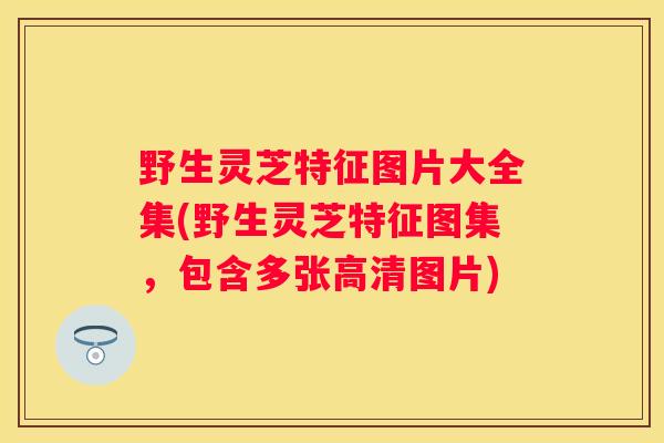 野生灵芝特征图片大全集(野生灵芝特征图集，包含多张高清图片)