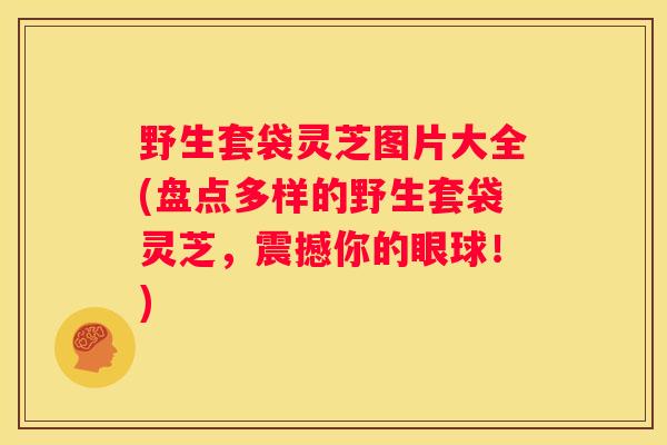野生套袋灵芝图片大全(盘点多样的野生套袋灵芝，震撼你的眼球！)