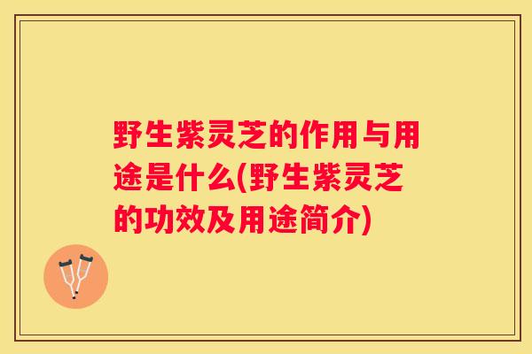 野生紫灵芝的作用与用途是什么(野生紫灵芝的功效及用途简介)