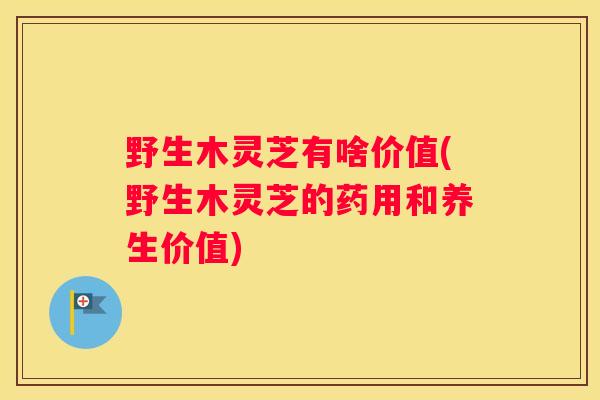 野生木灵芝有啥价值(野生木灵芝的药用和养生价值)