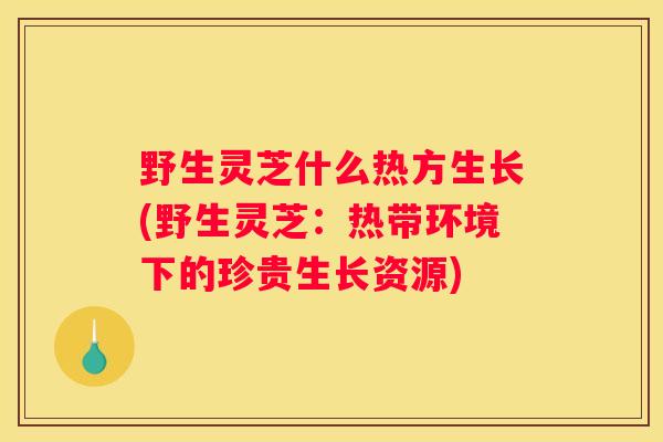 野生灵芝什么热方生长(野生灵芝：热带环境下的珍贵生长资源)